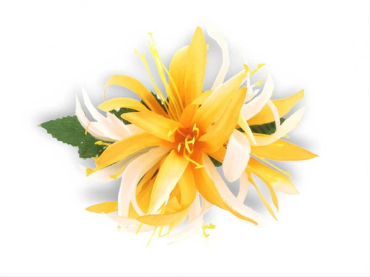 Ka Makani - Saffron Yellow & White Small Spider Lily Hair Clip 4.5in