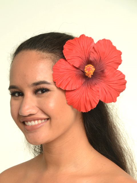 Wearing image