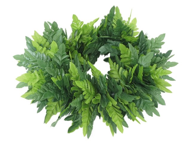 Ka Makani - Green Elastic Fern Headband 19in