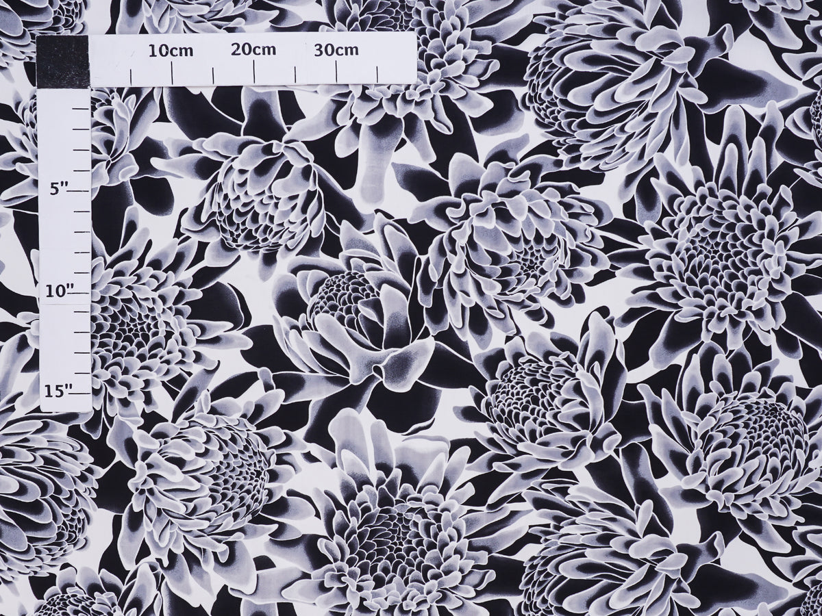 Protea Black & White Poly Cotton LW-24-936