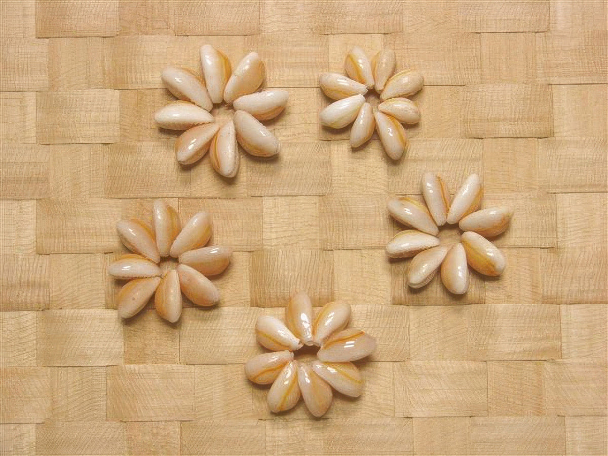 Ka Makani - Tahitian Shell Ornament Cowry Ring 50Piece set