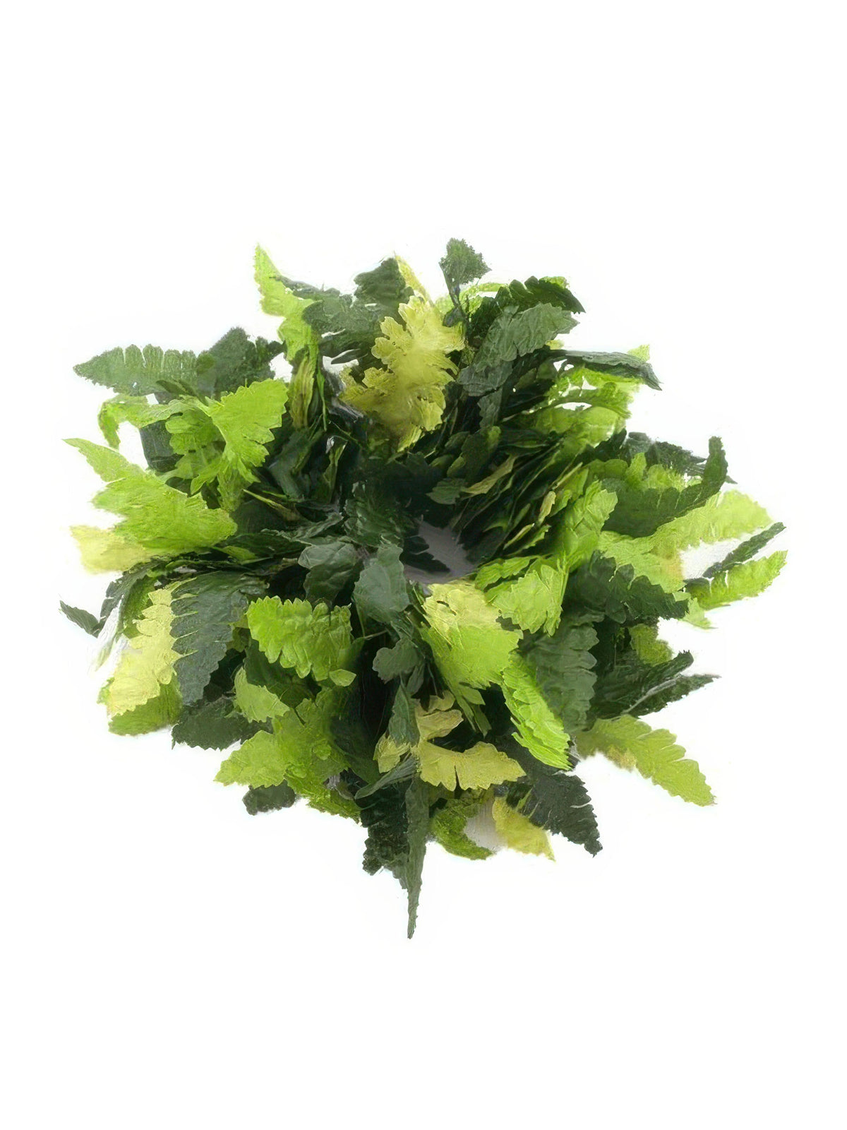 Ka Makani - 2-tones Green Kupukupu Fern Double Wrist/Ankle Bracelet