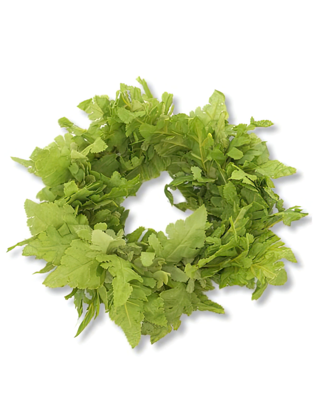 Ka Makani - New Fern Headband (Haku Lei)