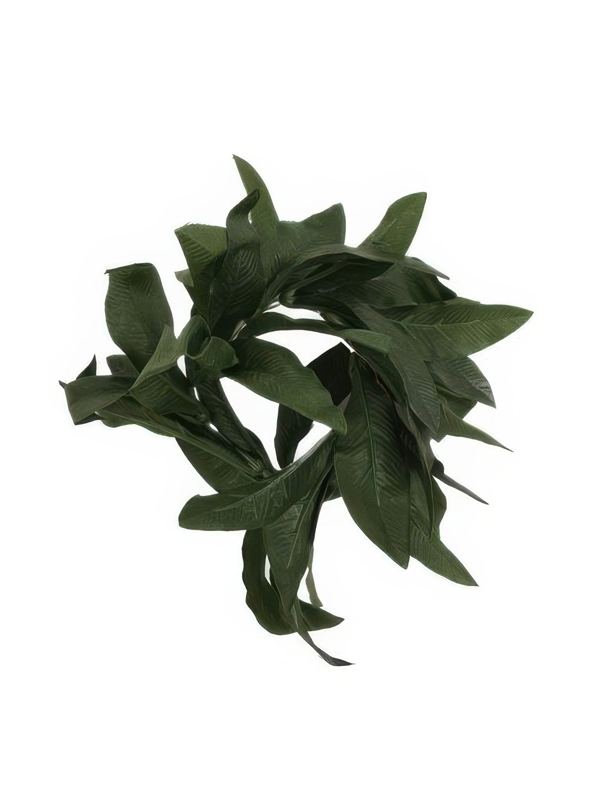 Ka Makani - Dark Green Maile Wrist/Ankle Bracelet