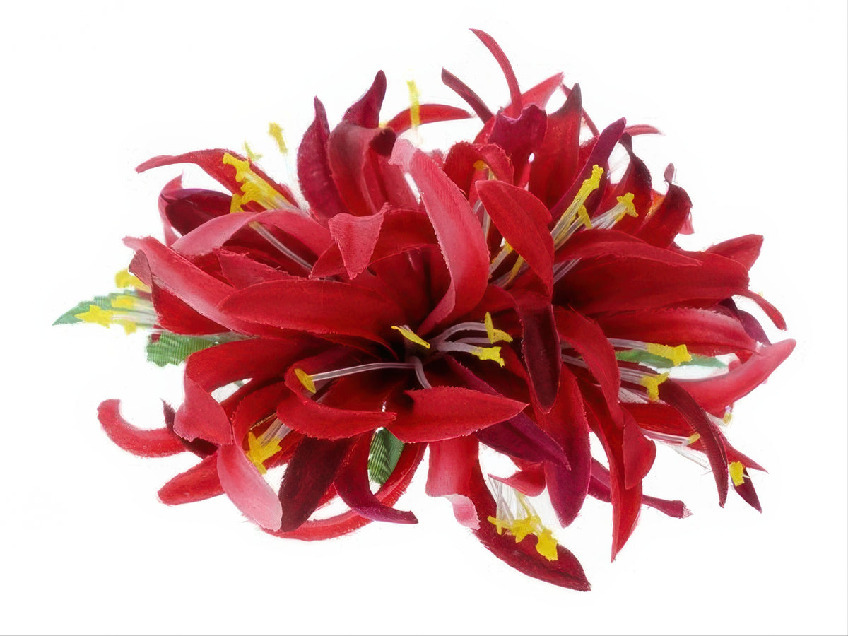 silk spider lily Ka Makani