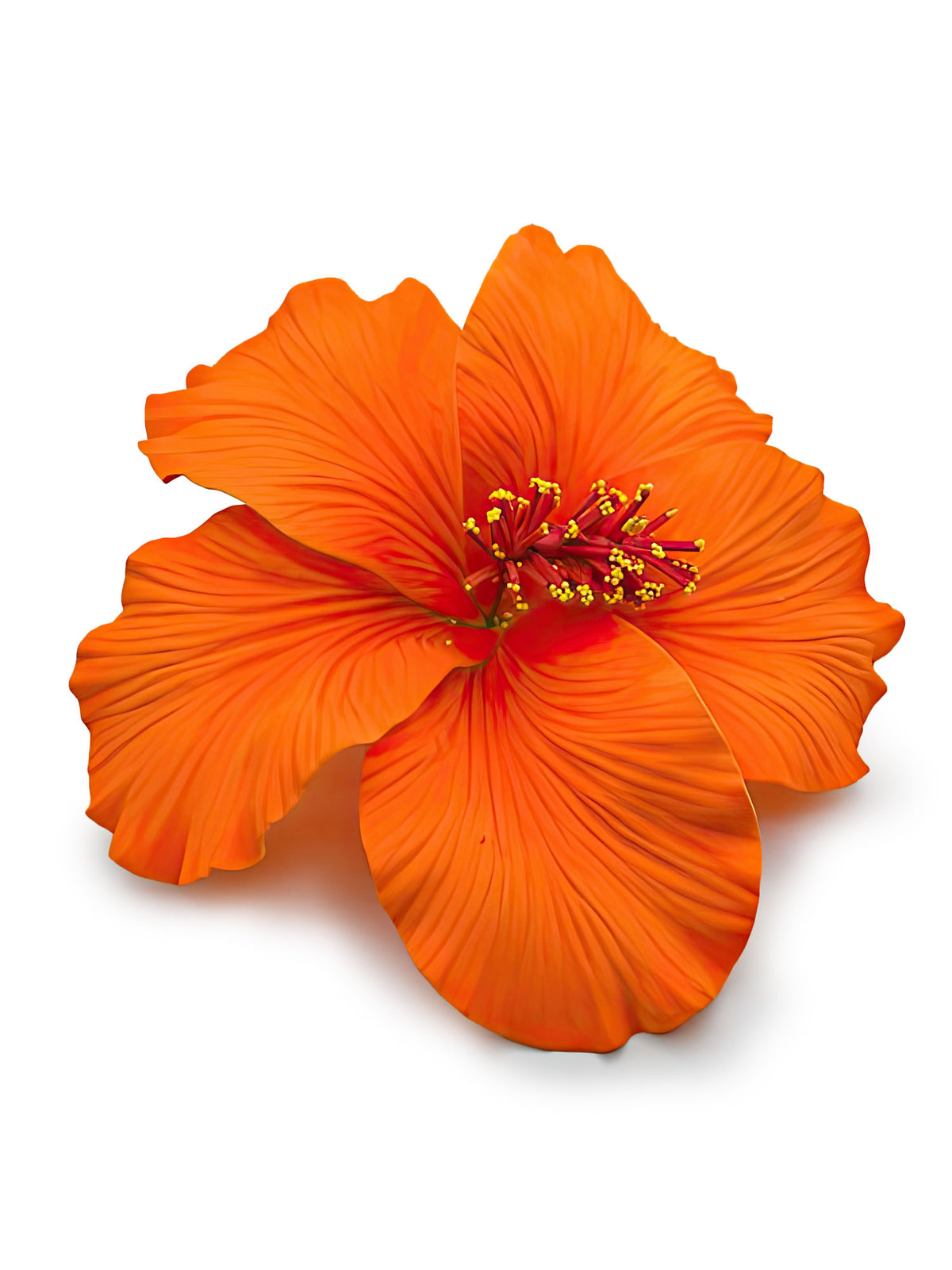 Ka Makani - Orange Jumbo Hibiscus Hair Stem 6.5"