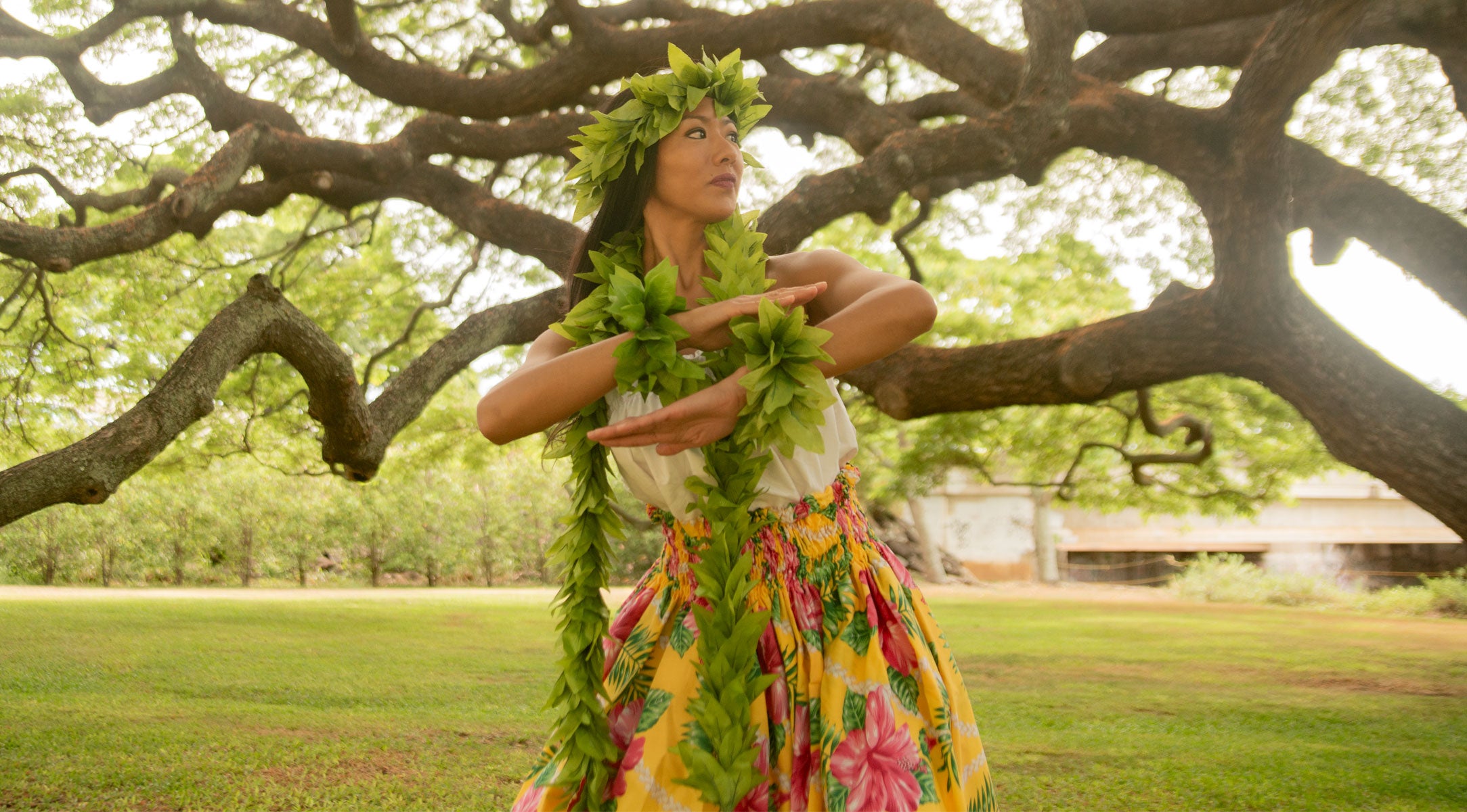 スカート Hula kaii Ka Makani - Authentic Kukui Nut Lei Shopping Guide – Kamakani