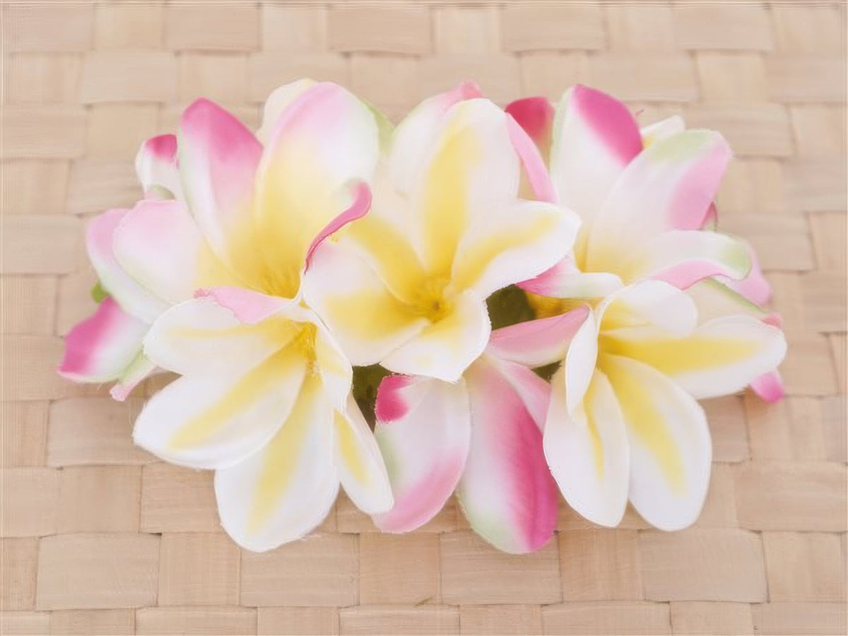 Ka Makani - Yellow & Pink Large Plumeria Hair Clip 5.5"