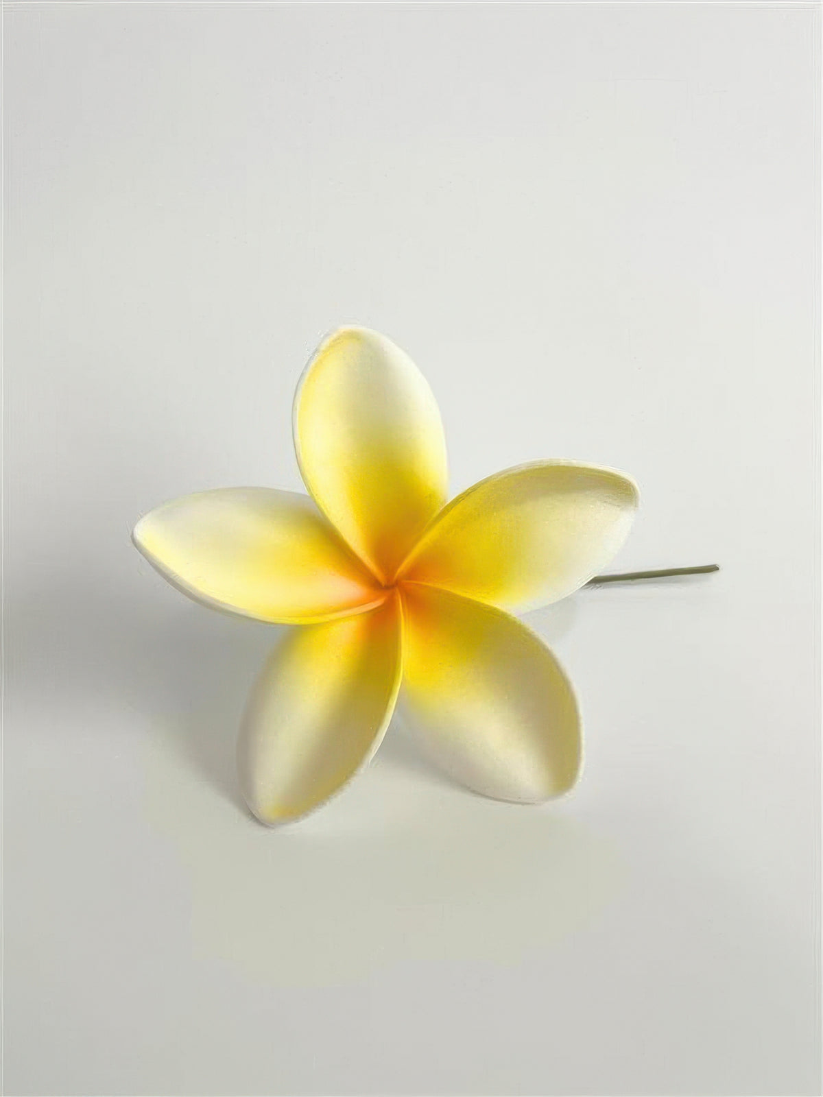 Ka Makani - Plumeria Hair Pick 3.5"