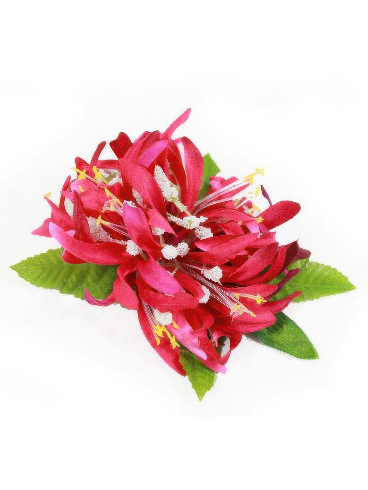 Ka Makani - Red Spider Lily Hair Clip 4"x 4.5"