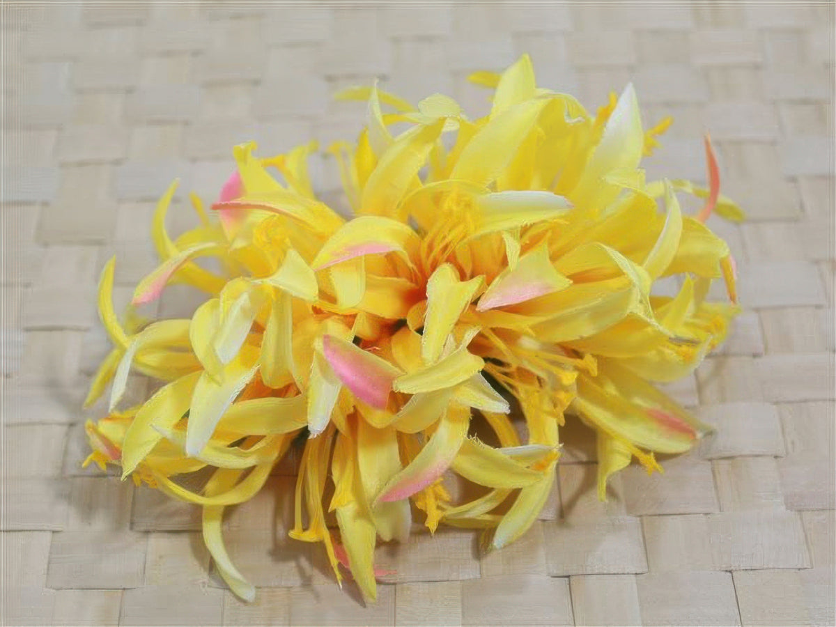 Ka Makani - Yellow Large Spider Lily Hair Clip 6"
