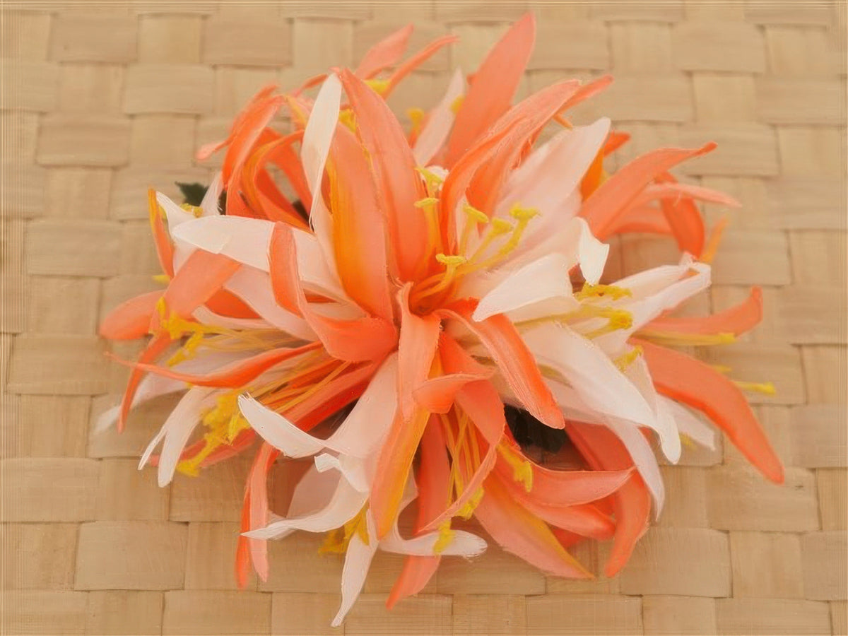 Ka Makani - Orange & White Large Spider Lily Hair Clip 6"