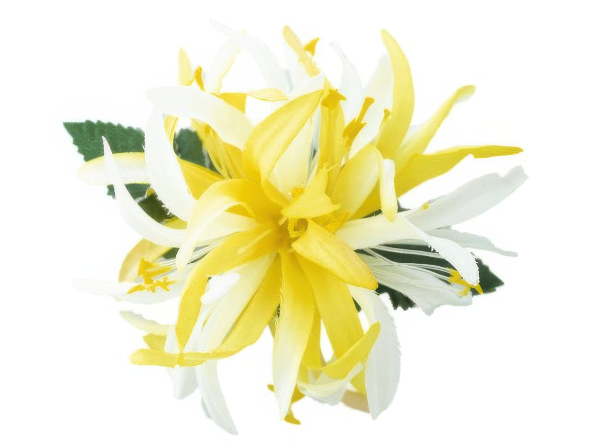 Ka Makani - Lemon Yellow & White Small Spider Lily Hair Clip 4.5in