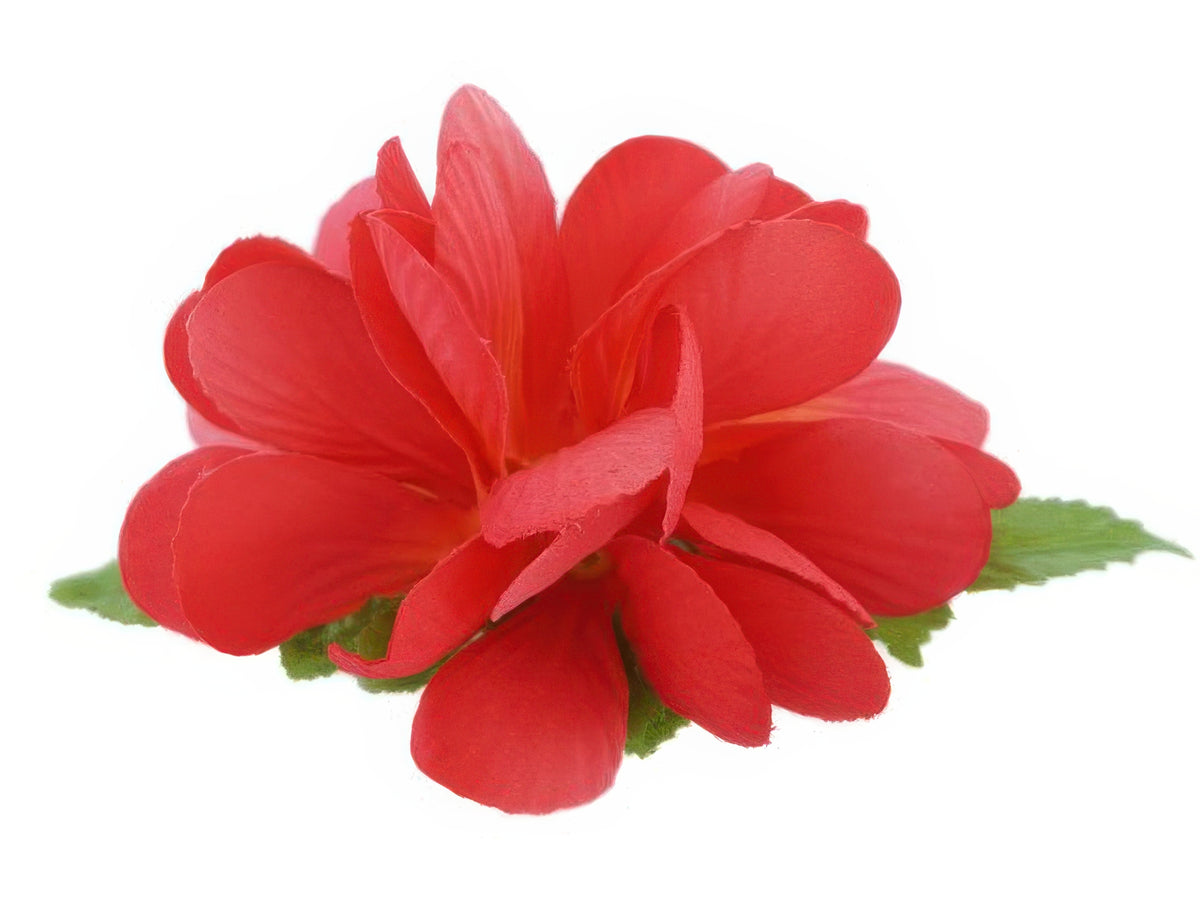 Ka Makani - Hot Pink Small Plumeria Hair Clip 4"