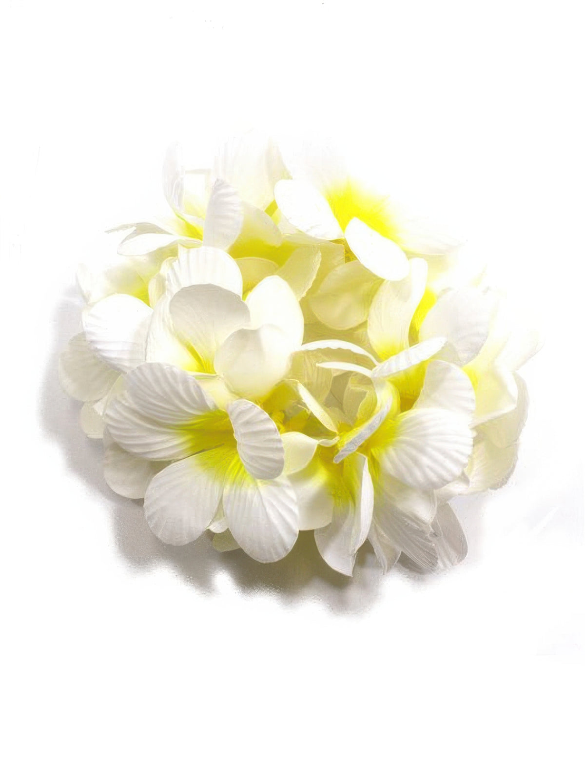 Ka Makani - White & Yellow Aloha Plumeria Double Bracelet