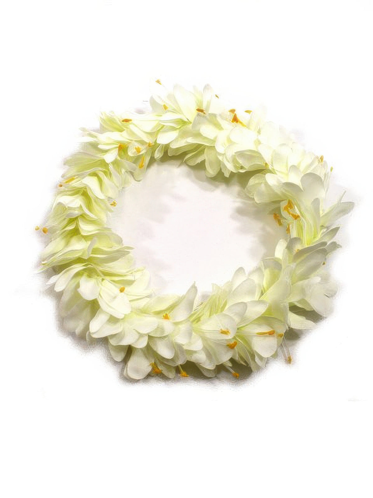 Ka Makani - White Kahili Ginger Headband (Haku Lei)