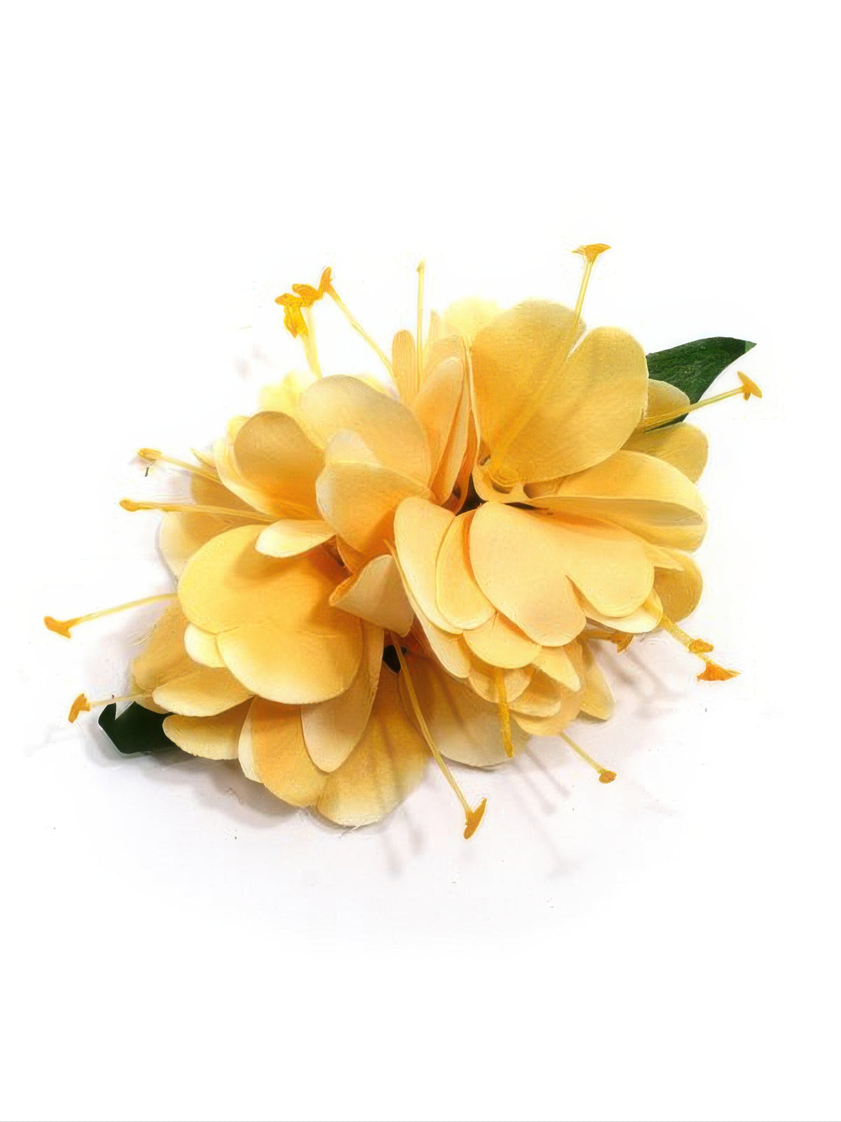 Ka Makani - Yellow Kahili Ginger Hair Clip x 3.5"