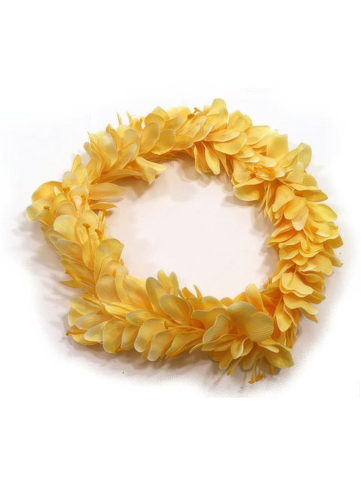 Ka Makani - Yellow Kahili Ginger Headband (Haku Lei)