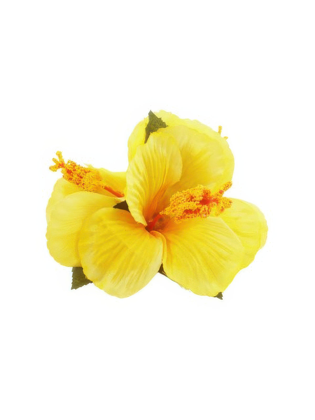 Ka Makani - Yellow Hibiscus Hair Clip 5"x 4.5"