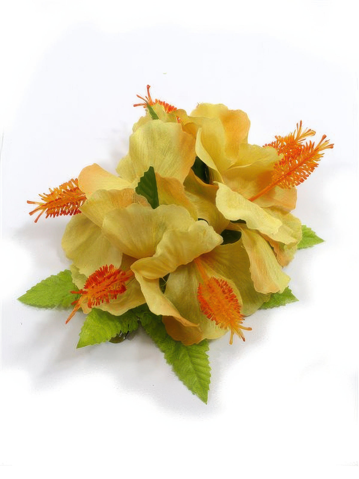 Ka Makani - Yellow Hibiscus with Fern Hair Clip 5"x 6.5"