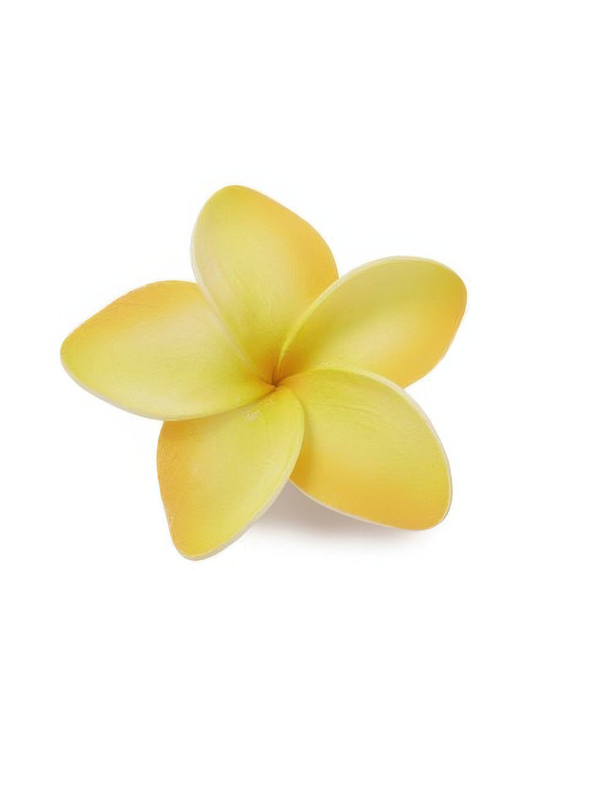 Ka Makani - Yellow Single Plumeria Hair Clip 2.5in